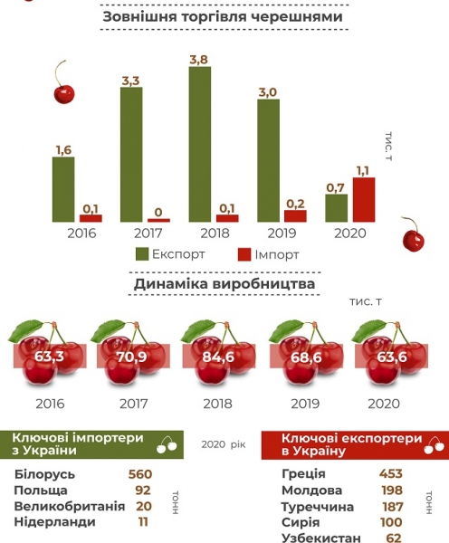 
В Украине сократилось производство черешни: больше ягоды стали завозить

