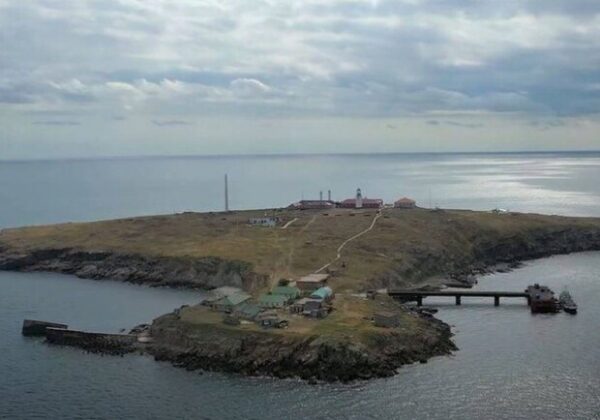 29 единиц техники: что разместили оккупанты на острове Змеиный 29 единиц техники: что разместили оккупанты на острове Змеиный