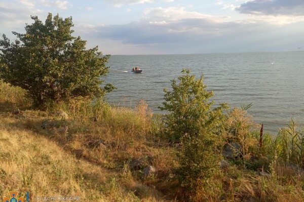 Снимали кота с дерева и тушили 43 пожара: как прошли сутки у одесских спасателей