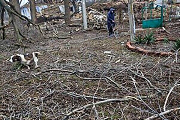 Над Одесской областью сбили восемь ракет: последствия обстрелов