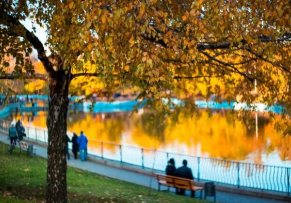 Концерт группы "Ляпис Трубецкой" и спектакль "Семейный альбом": куда пойти в Одессе на следующей неделе