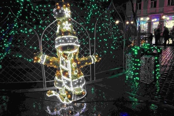 В Одессе открыли главную елку города: фотоотчет