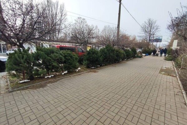 Праздник приближается: где в Одессе есть елочные базары