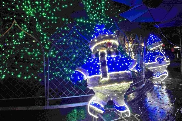 В Одессе открыли главную елку города: фотоотчет
