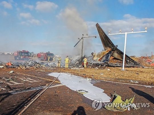 Майже 200 людей загинули в авіакатастрофі у Південній Кореї (фото, відео)