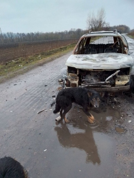 «Я йшов повз спалені машини і думав про те, що треба вижити»: житель Сумщини здолав важкий шлях, щоби вивезти зі зруйнованого села своїх собак
