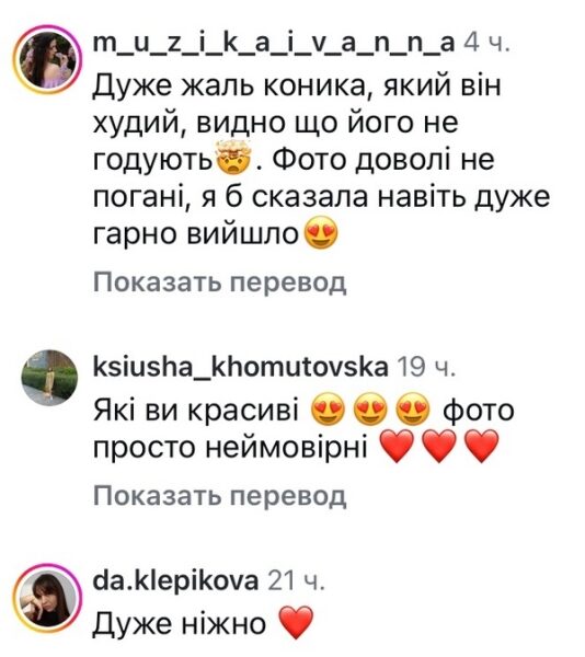 &laquo;Дуже жаль коника&raquo;: мережа відреагувала на&nbsp;світлини дружини Віктора Павліка