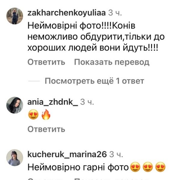 &laquo;Дуже жаль коника&raquo;: мережа відреагувала на&nbsp;світлини дружини Віктора Павліка