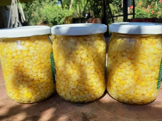 Консервуємо вдома кукурудзу: дуже простий та&nbsp;смачний рецепт