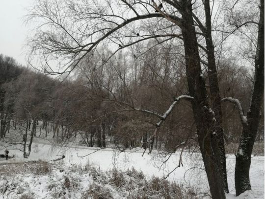 Морози відступають, але ще&nbsp;повернуться: синоптики обіцяють потепління вже завтра